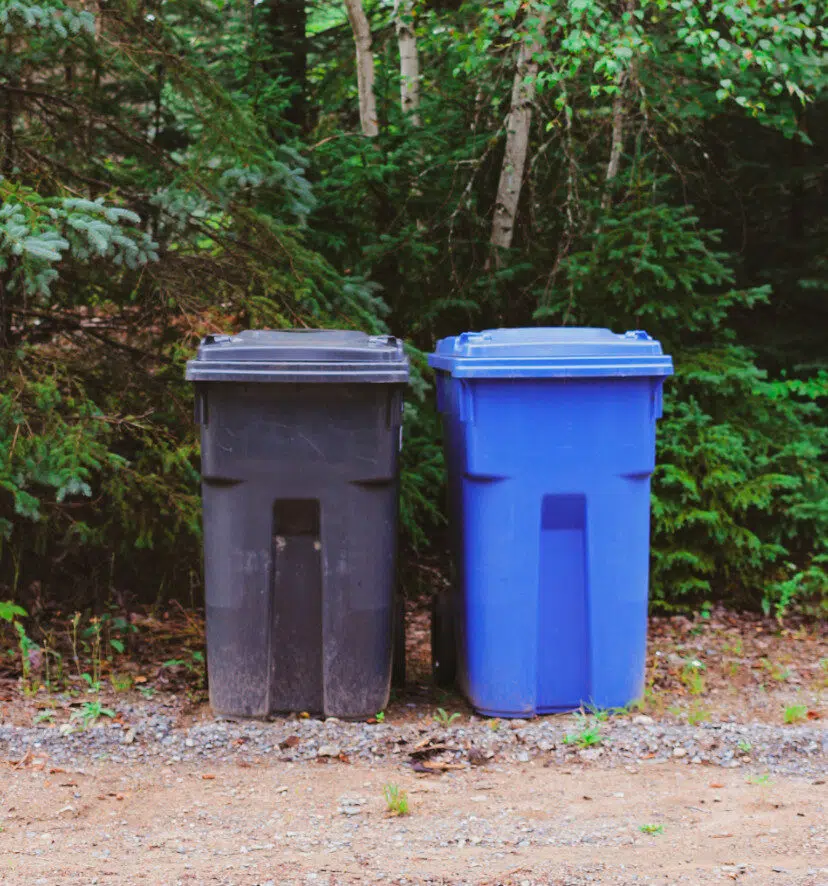 Dump station and waste bins at the park